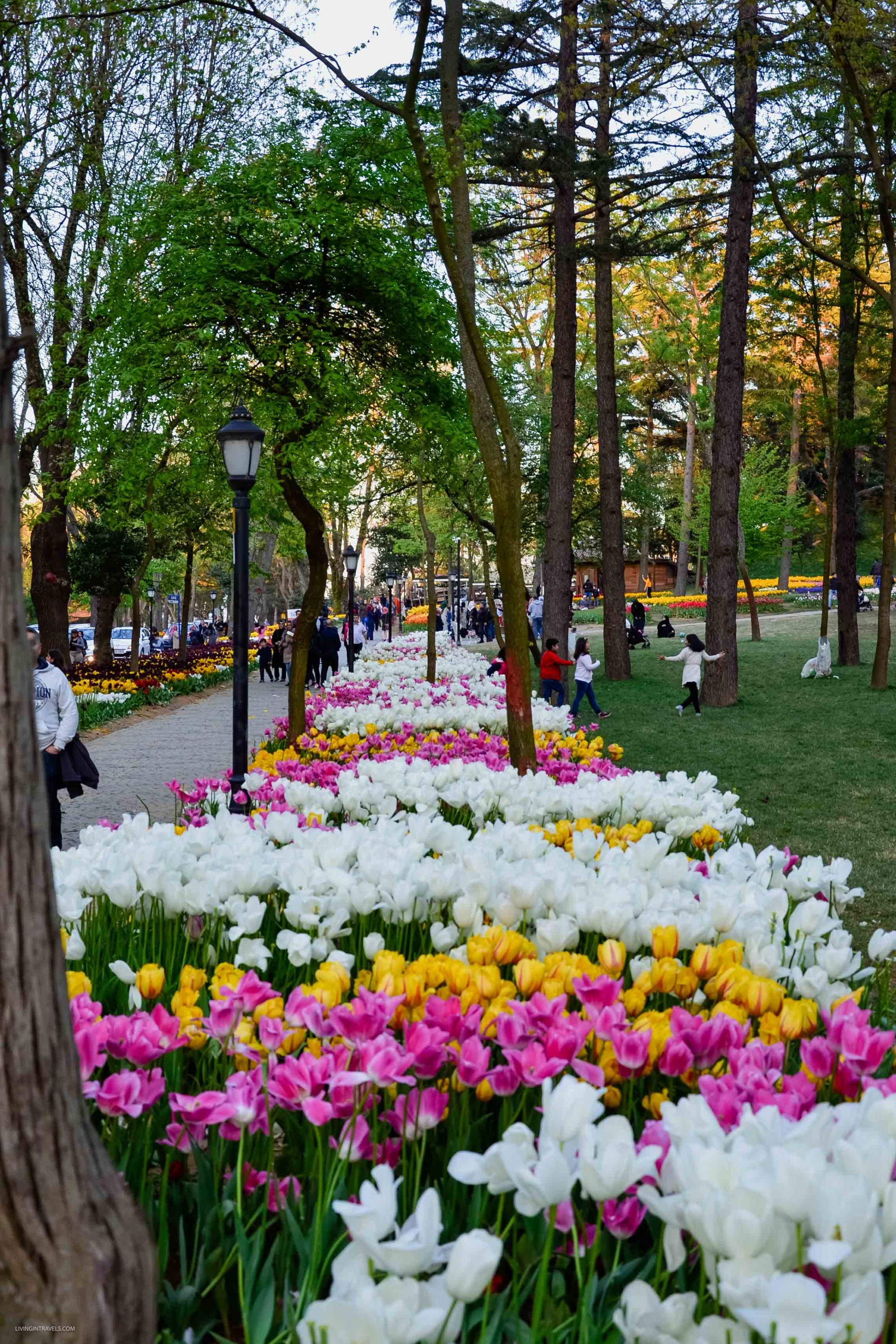 10 причин почему я не люблю Стамбул 10 причин почему я не люблю Стамбул страны,туризм