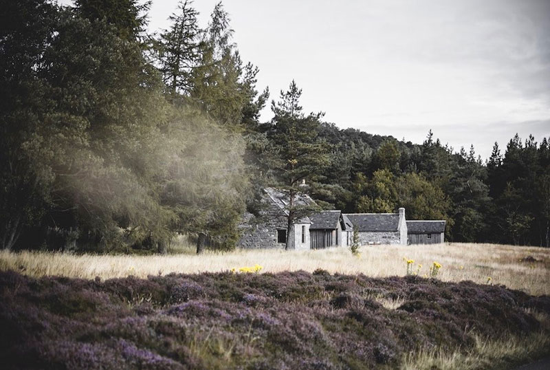 Шотландская сказка: коттедж для аренды, где снимали фильмы о Елизавете II дом в лесу