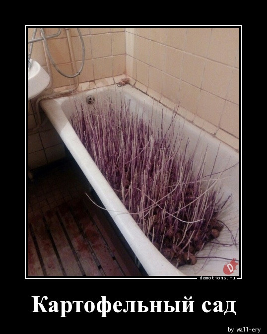 Демотиваторов пост: «Встретив медведя в лесу…» 