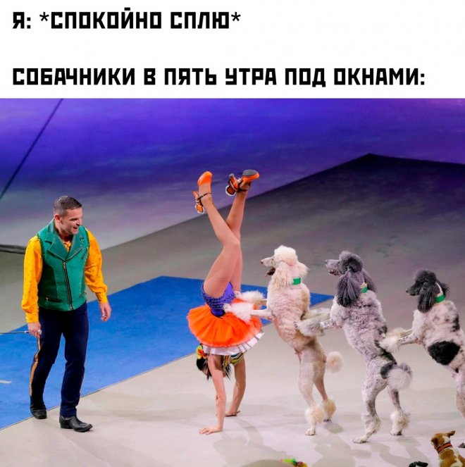 Юмор для тех, кто уже повзрослел и понял, что утренний кофе – это не роскошь, а необходимость 