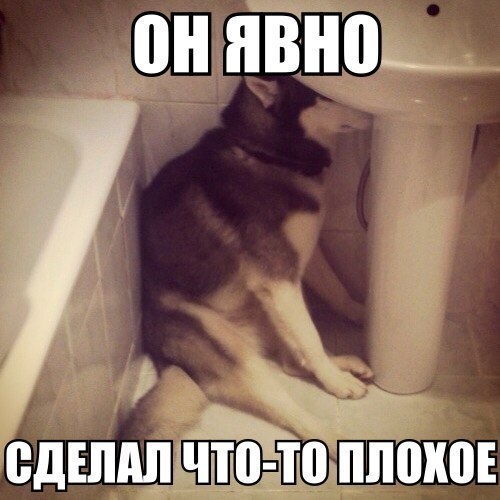 ���������� �������� ���������