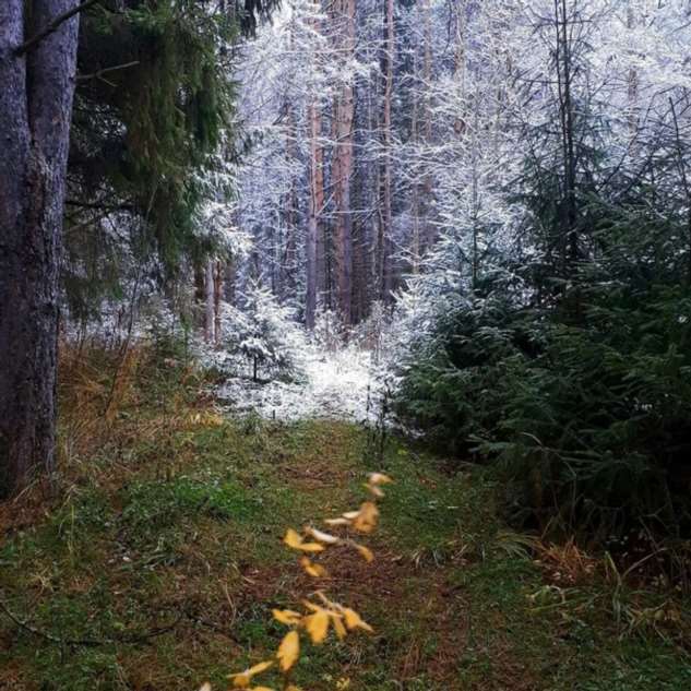 17 фото от тех, кто столкнулся с неожиданностью в самой обычной жизни