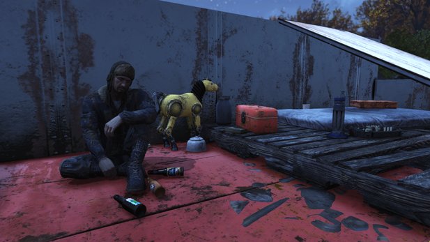 The technical condition of Fallout 76 still makes this hermit sad.