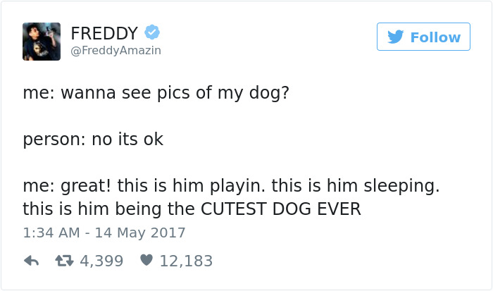 Dog Tweets