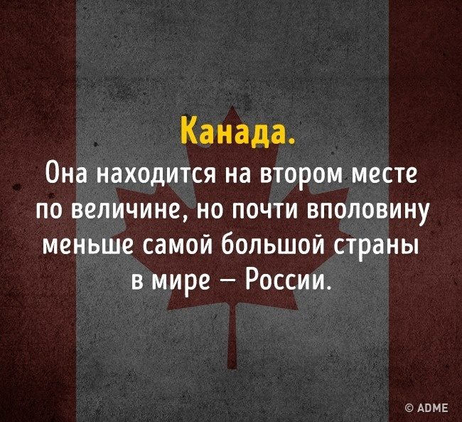 Тест на эрудицию: 13 вопросов, которые покажут, не пора ли вам обратно в школу