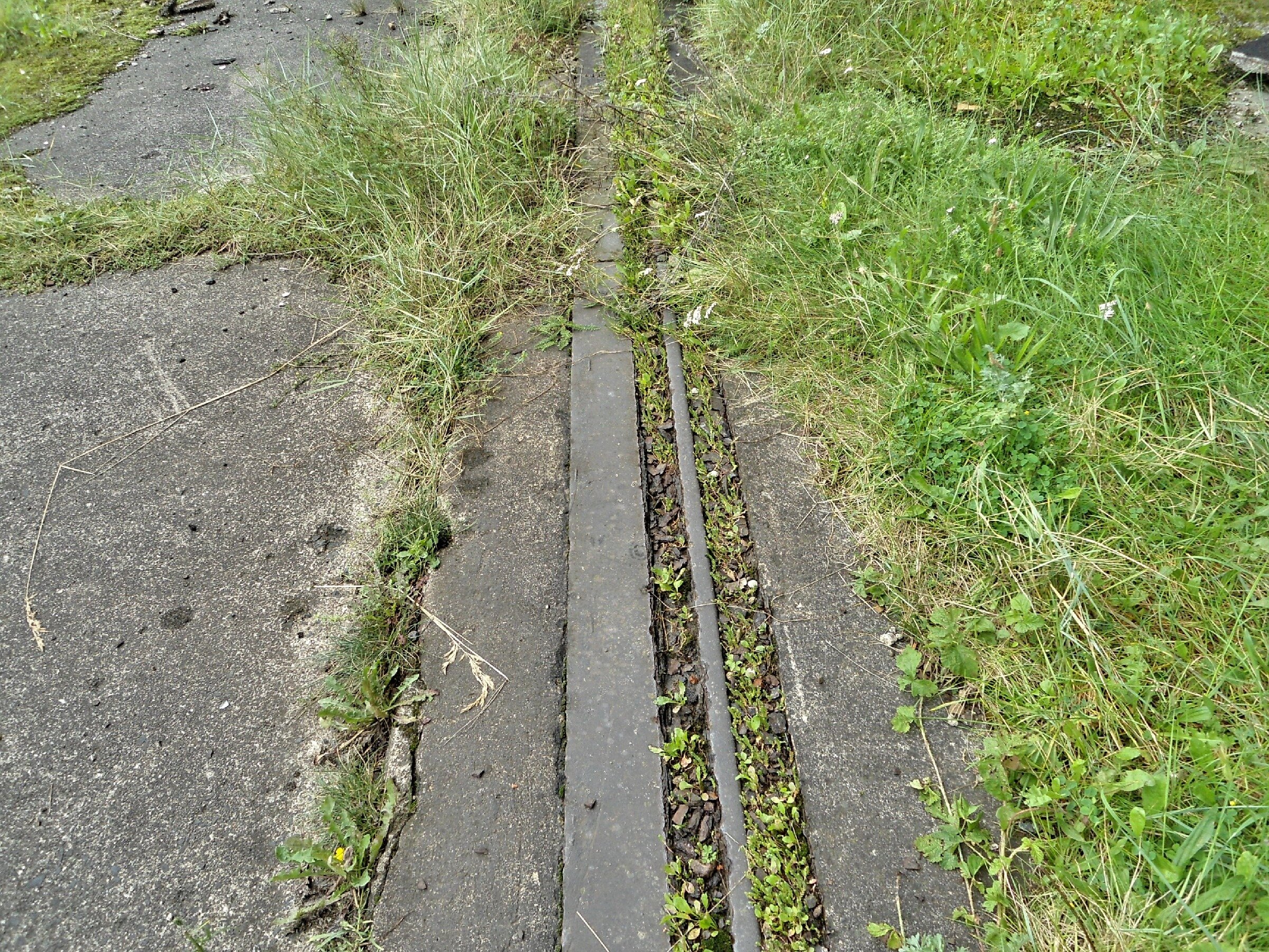 Заброшенный немецкий аэродром Люфтваффе "Нойтиф". Ангар 6 Заброшенный немецкий аэродром Люфтваффе "Нойтиф". Ангар 6