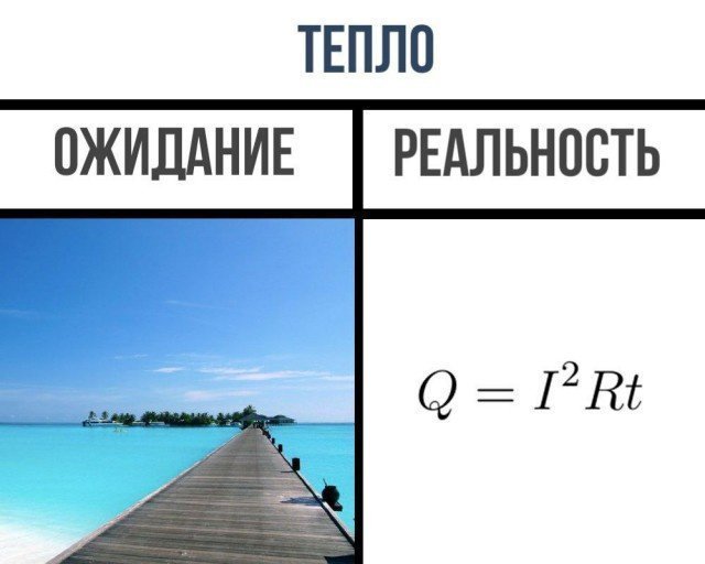 Учёные шутят Учёные шутят отдых