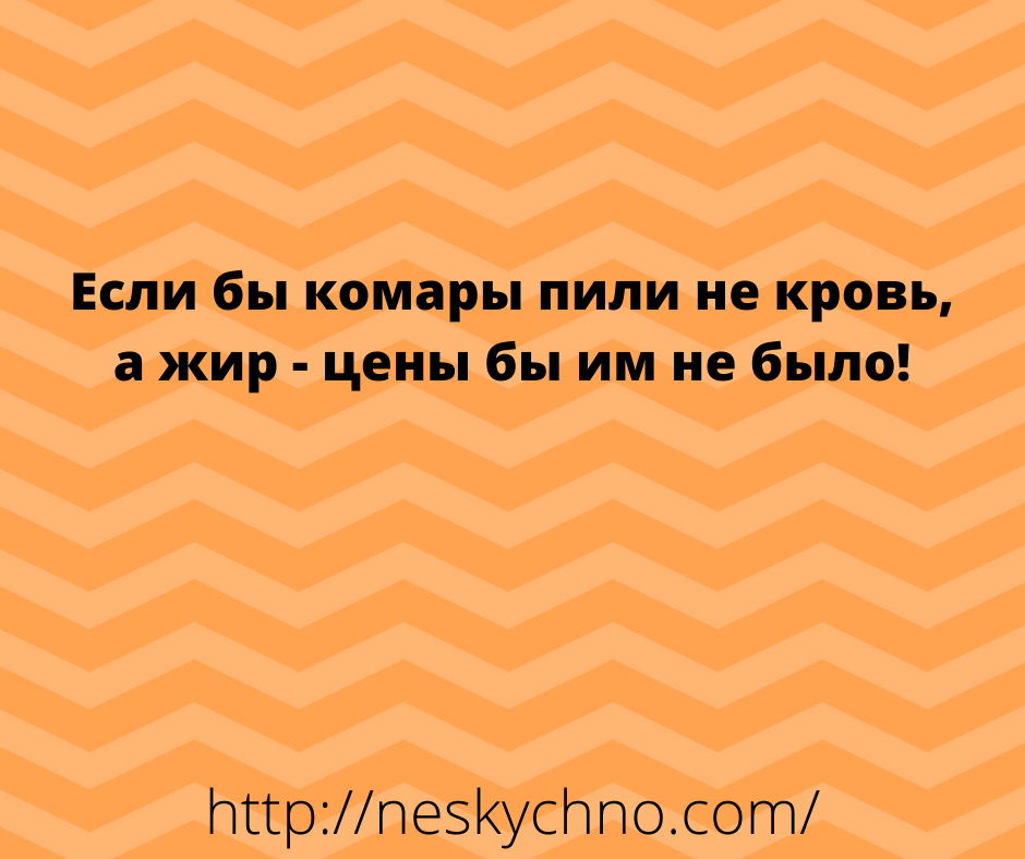 Лучшее начало дня — анекдоты для отличного настроения 