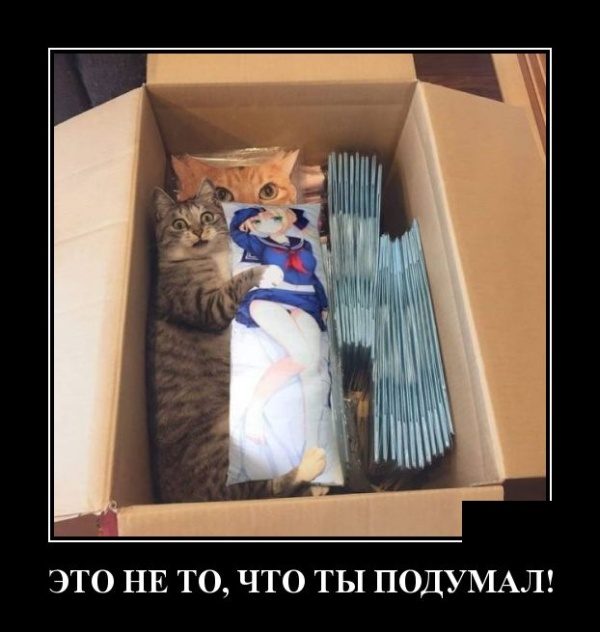 Самые улётные демотиваторы дня 