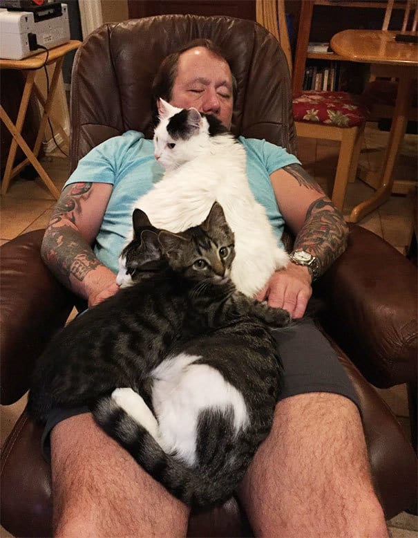 living-with-multiple-pets-68-59ba4d8d9df51__605