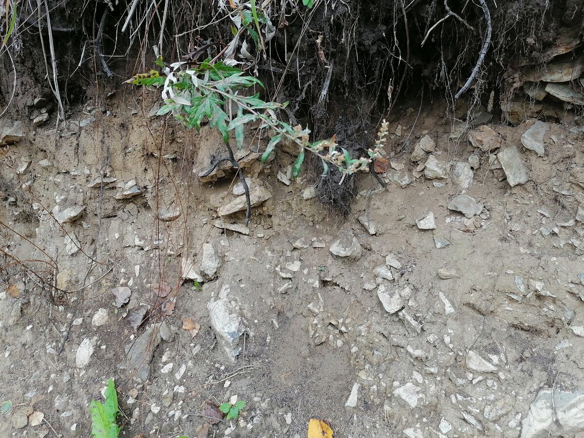 © Фотографии автора