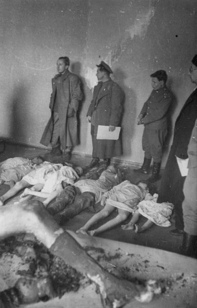 Взгляд зверя. Фотографии кровожадных убийц Взгляд зверя. Фотографии кровожадных убийц всемирная история