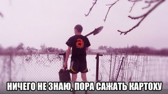 Он из тех людей, кто не привык менять планы и обращать внимание на всякие пустяки апрель, весна, погода, снег, юмор