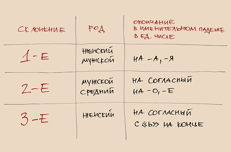 Склонения иностранцы, русский язык, учение, факты, язык