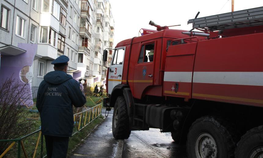 В Архангельске при пожаре в многоквартирном доме задохнулись собака и попугай