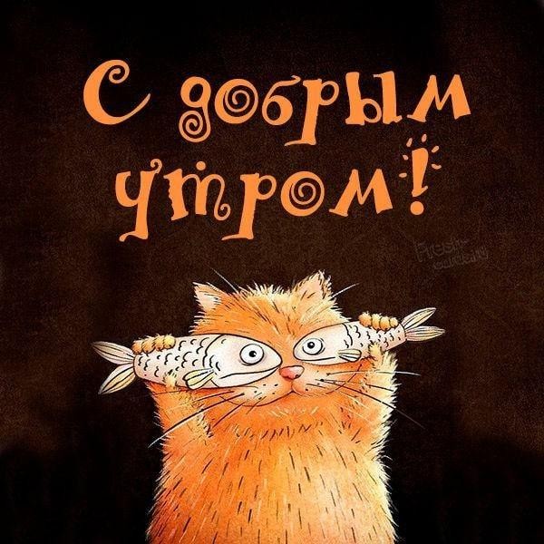 Поднимаем настроение на весь день!