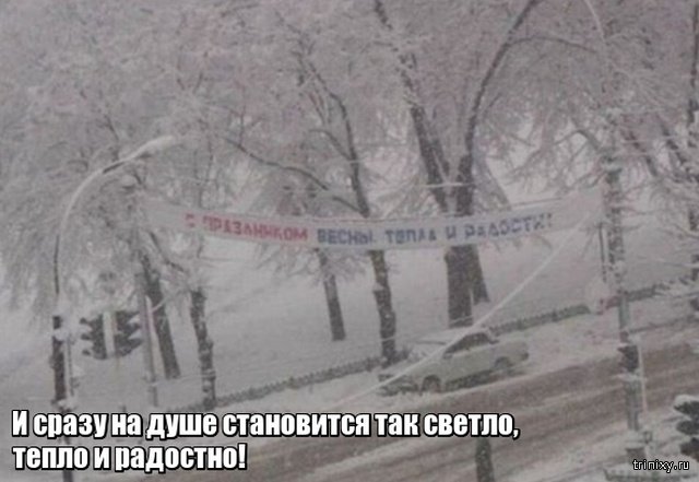 Весна уже пришла? Или пока еще нет? Весна уже пришла? Или пока еще нет? смешные картинки