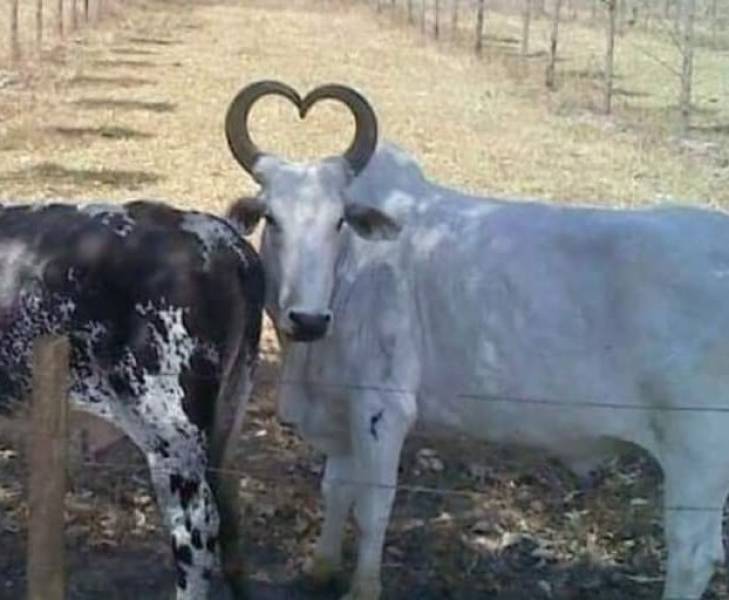 Подборка прикольных картинок Подборка прикольных картинок приколы,смешные картинки,юмор