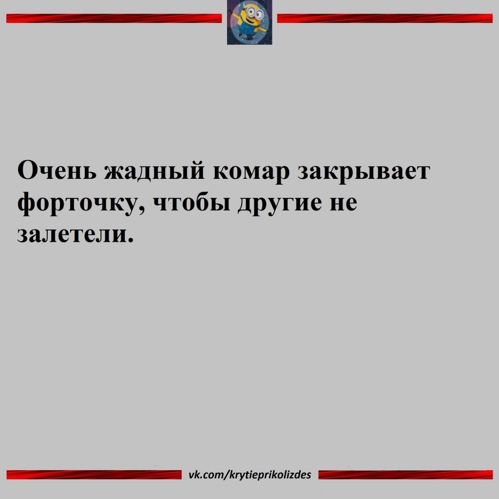 Юмор из интернета 680 Юмор из интернета 680 позитив,смех,улыбки,юмор