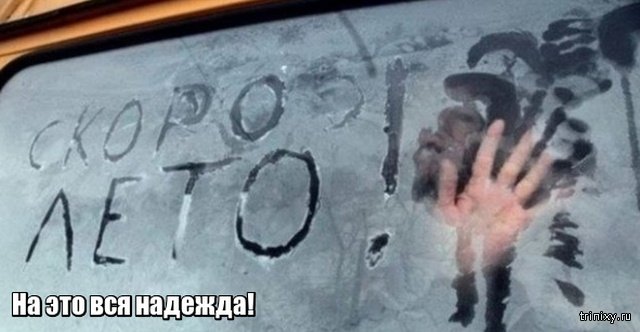 Весна уже пришла? Или пока еще нет? Весна уже пришла? Или пока еще нет? смешные картинки