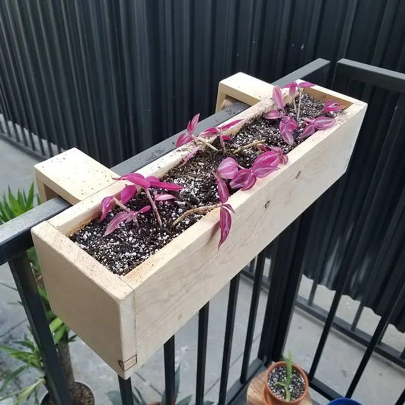 Оптимальный вариант для небольшого балкона: размещение растений на перилах в специальных подвесных горшках Оптимальный вариант для небольшого балкона: размещение растений на перилах в специальных подвесных горшках для дома и дачи,идеи и вдохновение