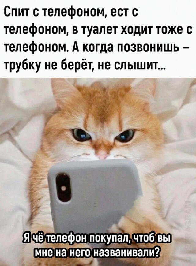 Смешные фотомемы для хорошего настроения Смешные фотомемы для хорошего настроения