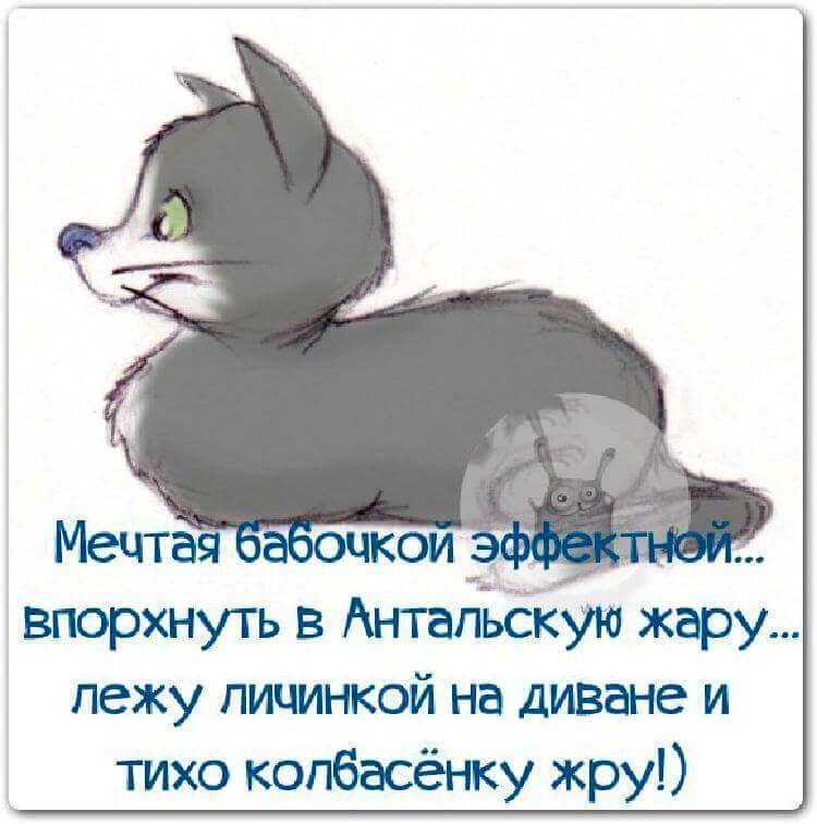 Хорошо быть голубем... Захотел в Париж - слетал... Весёлые,прикольные и забавные фотки и картинки,А так же анекдоты и приятное общение