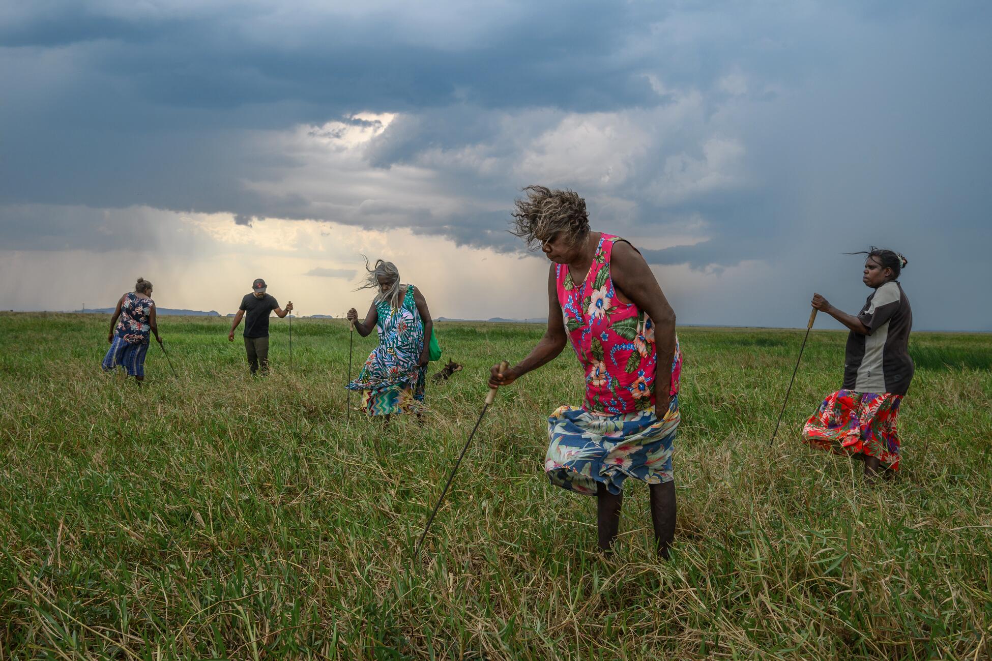 Фотография пяти человек на высоком травянистом поле с длинными металлическими палками в руках, другие концы которых в траве, в то время как ветер развевает их одежду и волосы