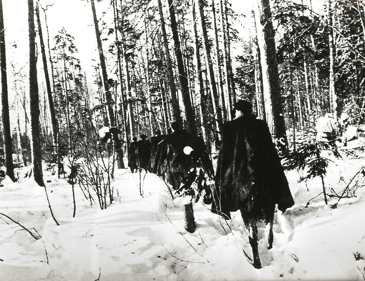 1941. Отряд разведчиков в немецком тылу