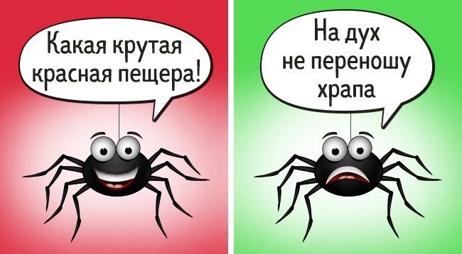 Факты о животных, в которые не стоит верить