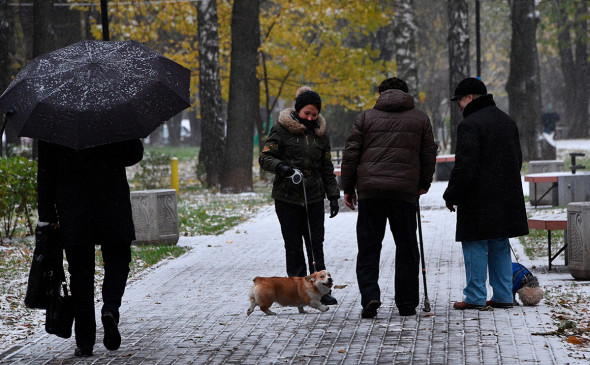 «Репетиция зимы»: Тишковец рассказал об осадках в Москве