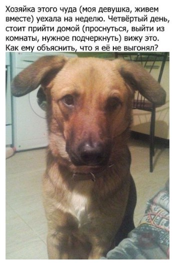 Позитивные и жизненные картинки с надписями со смыслом (12 фото)