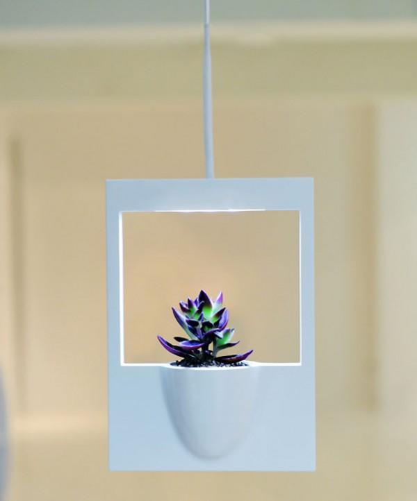 Креативные цветочные вазы 