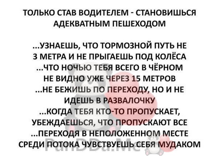 Коллекция хорошего и доброго юмора из 15 коротких жизненных и смешных историй для отличного настроения 