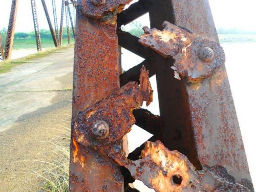 Топ-25: невероятные последствия для Земли в случае вымирания человеческого вида