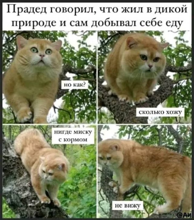 Если бы во времена Потопа вместо Ноя был Трамп, то Потопа бы не было Если бы во времена Потопа вместо Ноя был Трамп, то Потопа бы не было