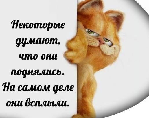 Покупает мужик в магазине сигареты, тут же закуривает. Продавец ему... самые, большие, только, курить, своим, Вовочка, парня, слона, строго, когда, известно, неделю, следующий, никогда, сигареты, ответил, здесь, переспала……, сексомНа, мужик