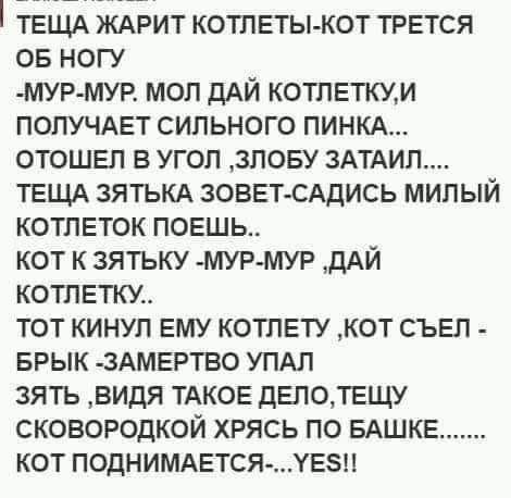 Сидит мужик на кухне, вдруг выползает таракан и говорит Сидит мужик на кухне, вдруг выползает таракан и говорит анекдоты