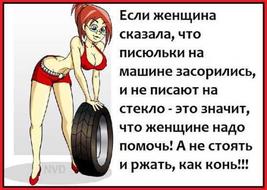 В аптеку заходит красивая блондинка в норковой шубе.Фармацевт спрашивает... В аптеку заходит красивая блондинка в норковой шубе.Фармацевт спрашивает... Весёлые