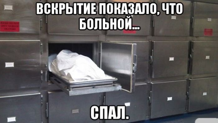 Веселые картинки с надписями для позитивных эмоций (11 фото)