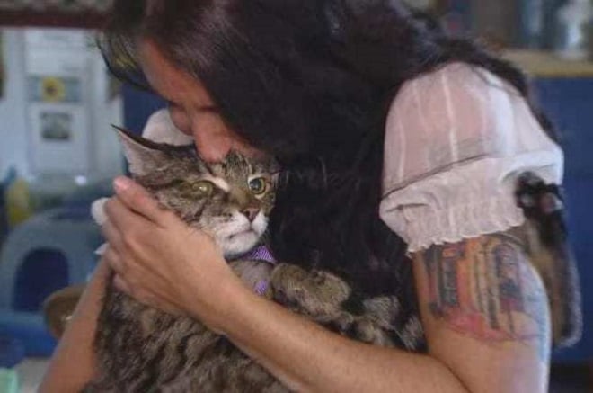 Женщина целует кота