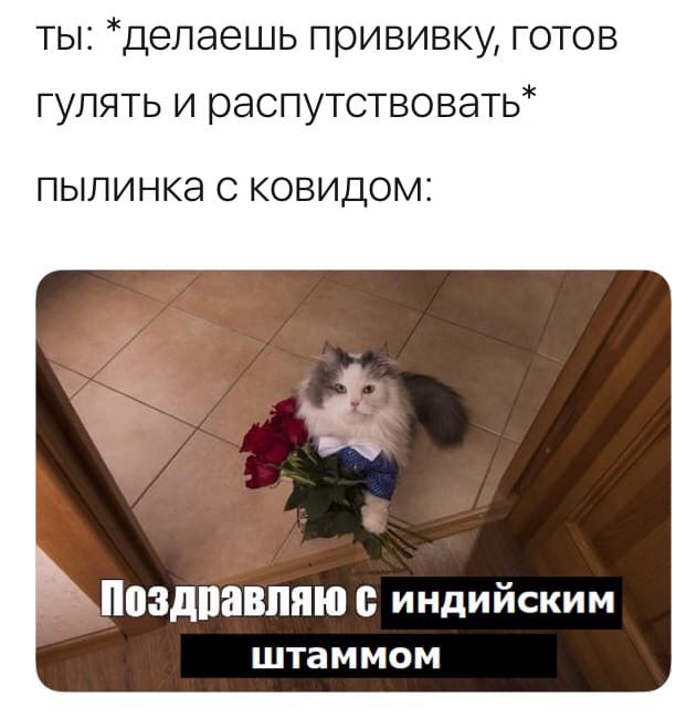 Мемы про вакцинацию