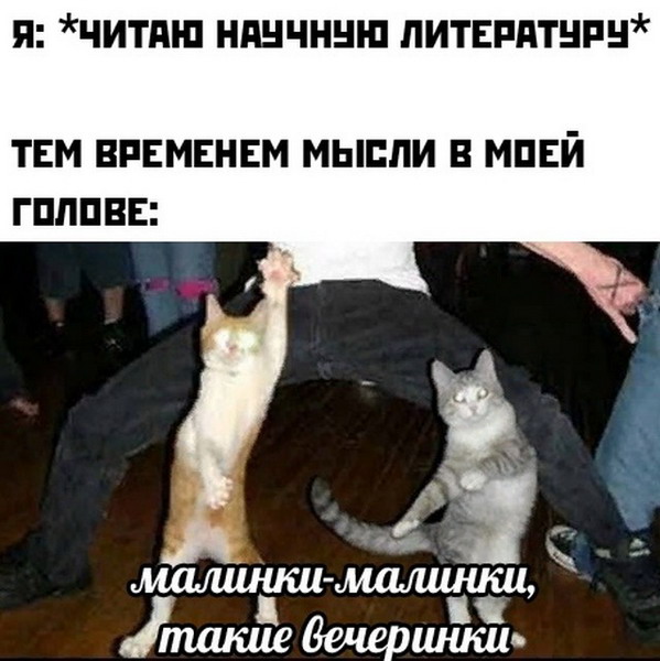 Зверский юмор, КОТОФейный 