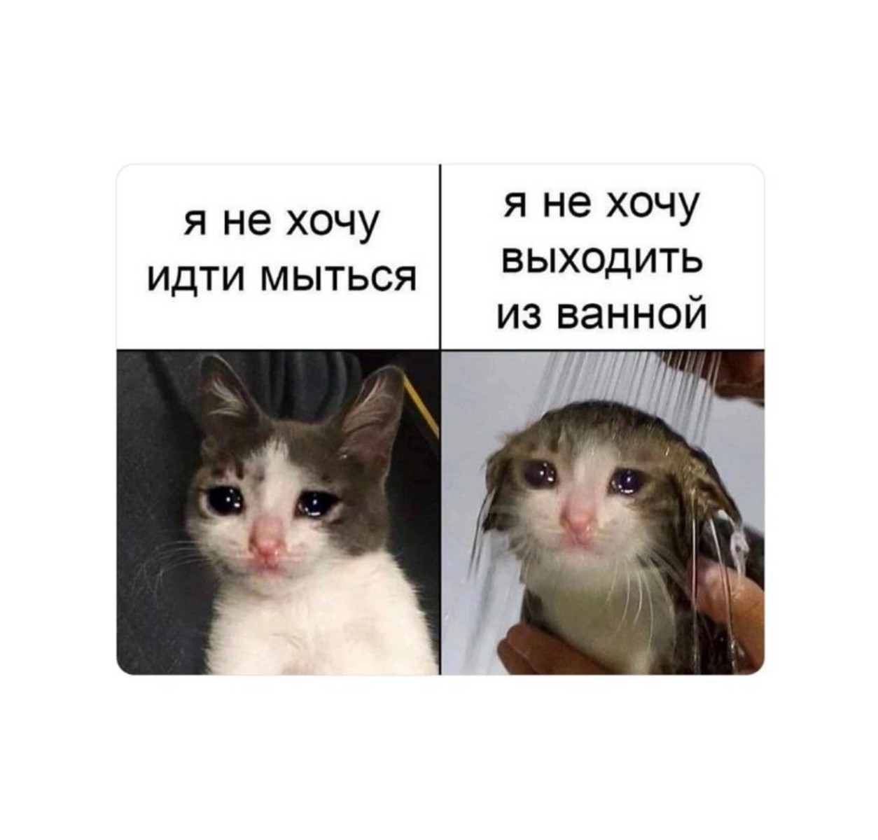 Если кого-то боги хотят наказать, то дают тому серьёзности больше, чем ума Если кого-то боги хотят наказать, то дают тому серьёзности больше, чем ума