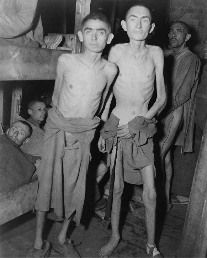Еврейские узники в бараке после освобождения концентрационного лагеря Дахау, 29 апреля 1945 года история, факты, фото