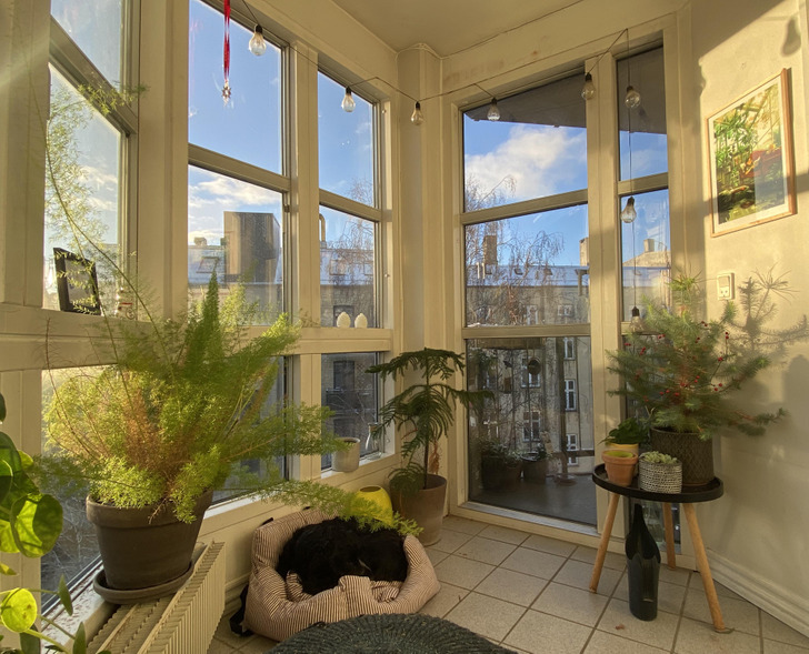 15 человек забабахали балкон мечты, и нам теперь сидеть и завидовать идеи для дома,интерьер и дизайн