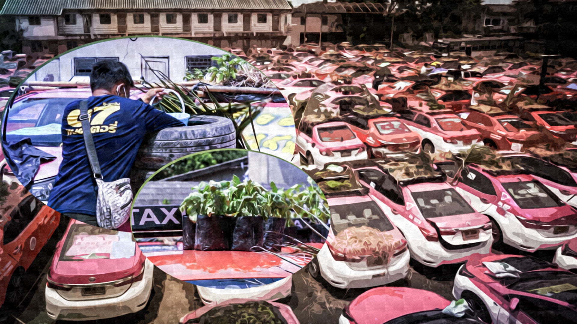 В Таиланде крыши такси превратились в овощные грядки