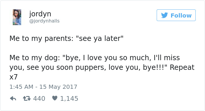 Dog Tweets