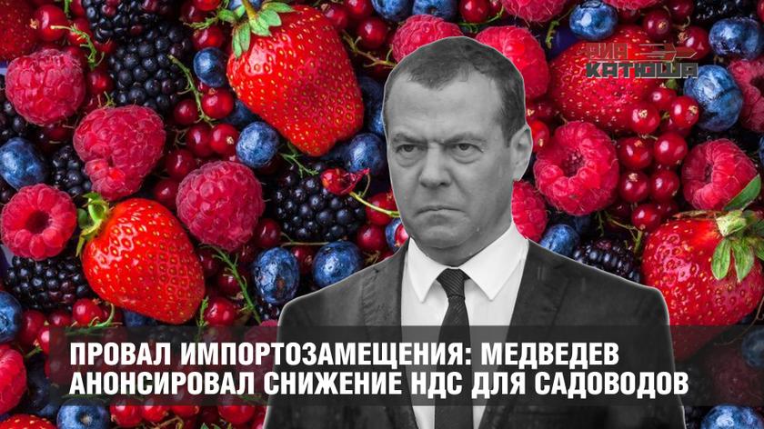 Провал импортозамещения: Медведев анонсировал снижение НДС для садоводов россия