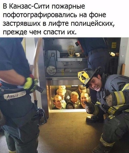 Очередная подборка картинок с подписями картинки с подписями, подборка, юмор